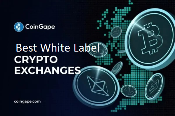 Best White Label Crypto Exchanges in 2025